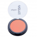 Рум'яна компактні TopFace Instyle Blush Compact On PT-354 (матові і шимерные) №02