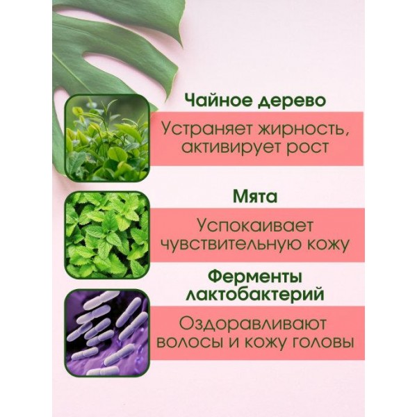 Шампунь для захисту кольору з пробіотиками Masil 5 Probiotics Color Radiance Shampoo 300 мл