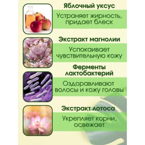 Шампунь з пробіотиками і яблучним оцтом Masil 5 Probiotics Apple Vinegar Shampoo 300 мл