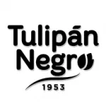 TULIPAN NEGRO